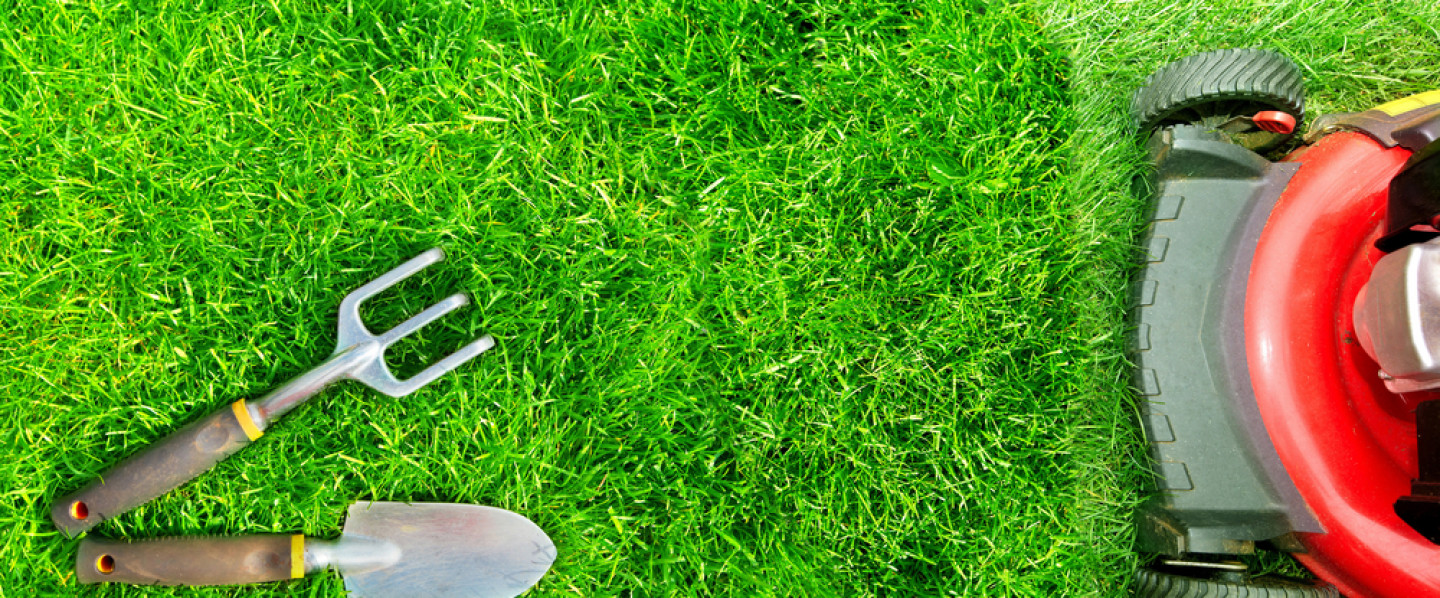 Does Your Commercial Property's Lawn Need Some Work?